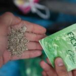 bonzaiye, hipnoz, mehmet başkak